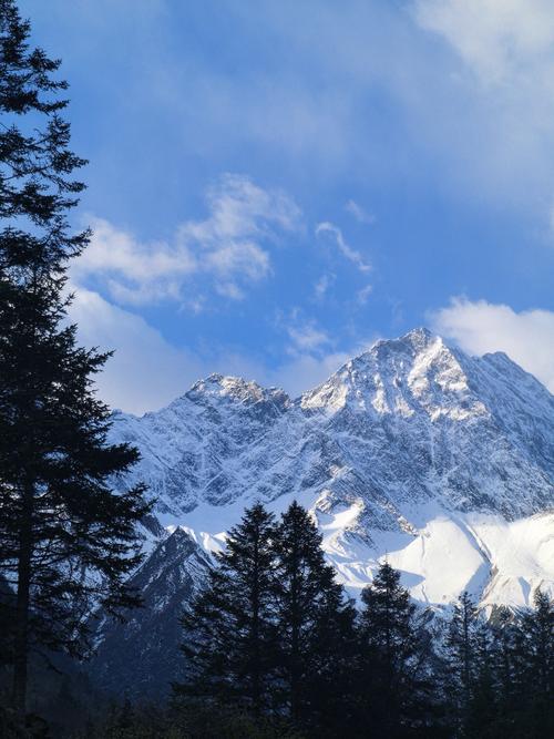 Cases show need to foster private sector