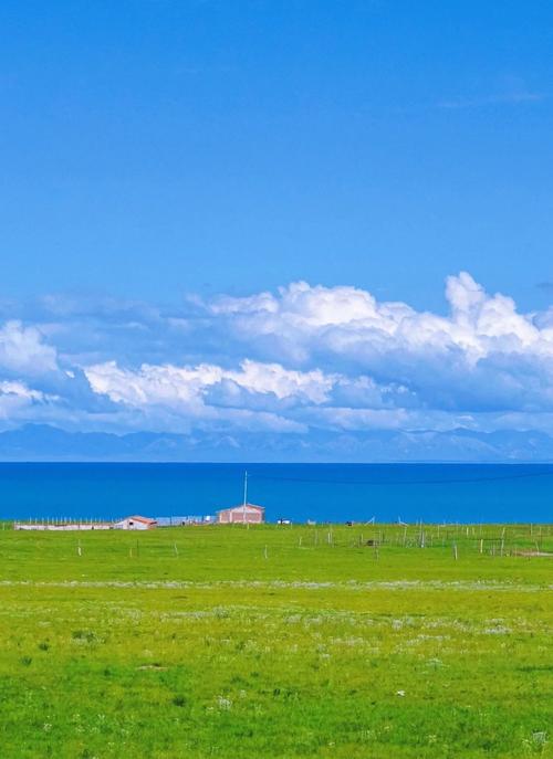 Crosscultural insights empower Chinese artists to go global